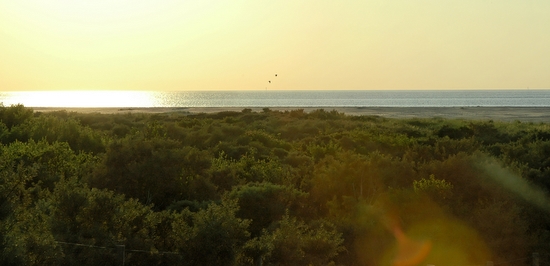 Zeeland in Sï¿½ï¿½d Holland